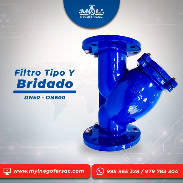 filtro_tipo_y_bridado