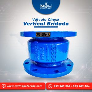 valvula_check_vertical_bridado